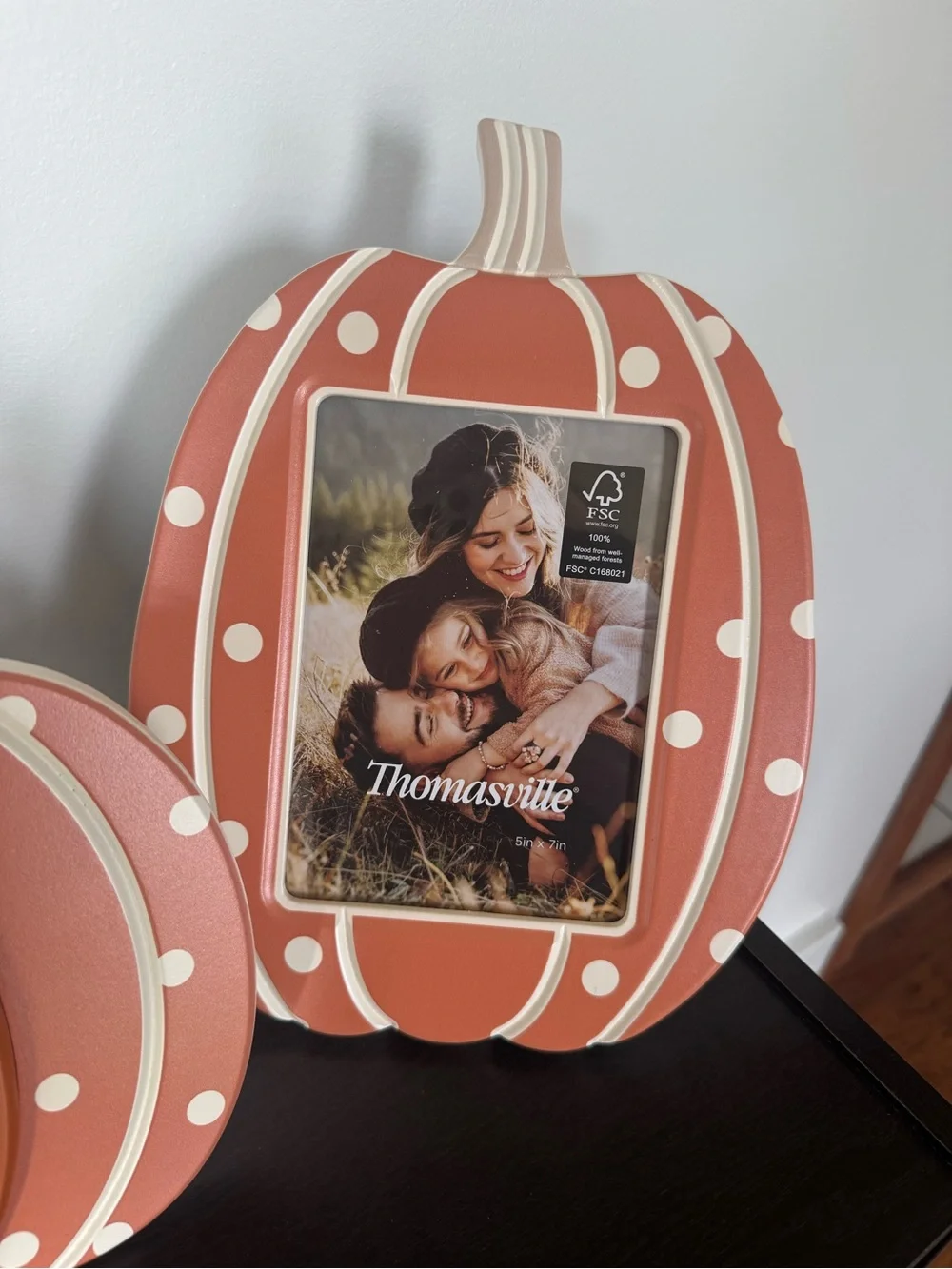 THOMASVILLE FALL ORANGE POLKA DOT PICTURE FRAMES SET 2 NEW